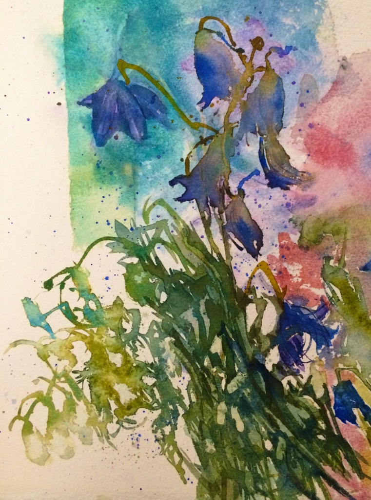 Watercolour flower study